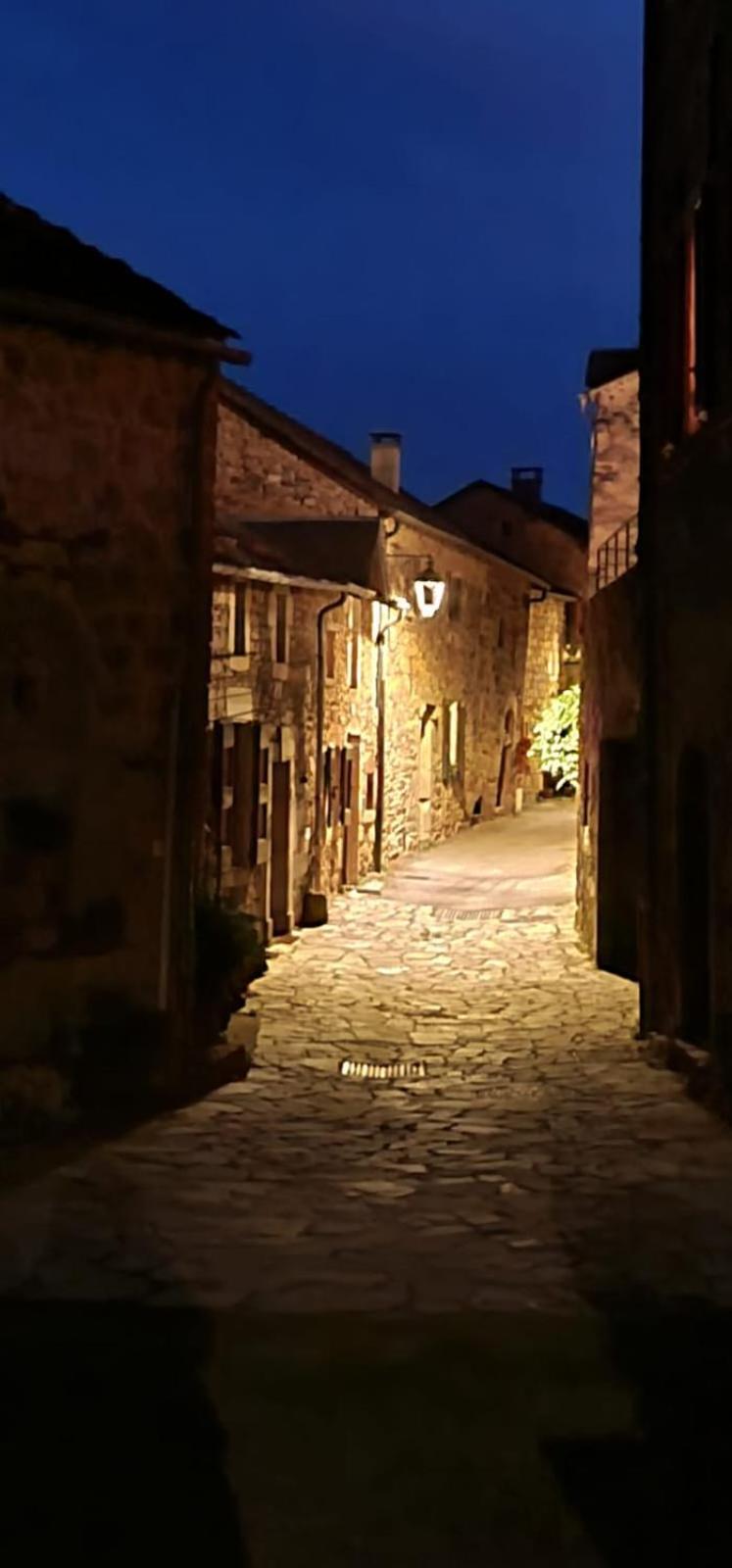 The Tavern Castelnau-Pégayrols Exterior photo